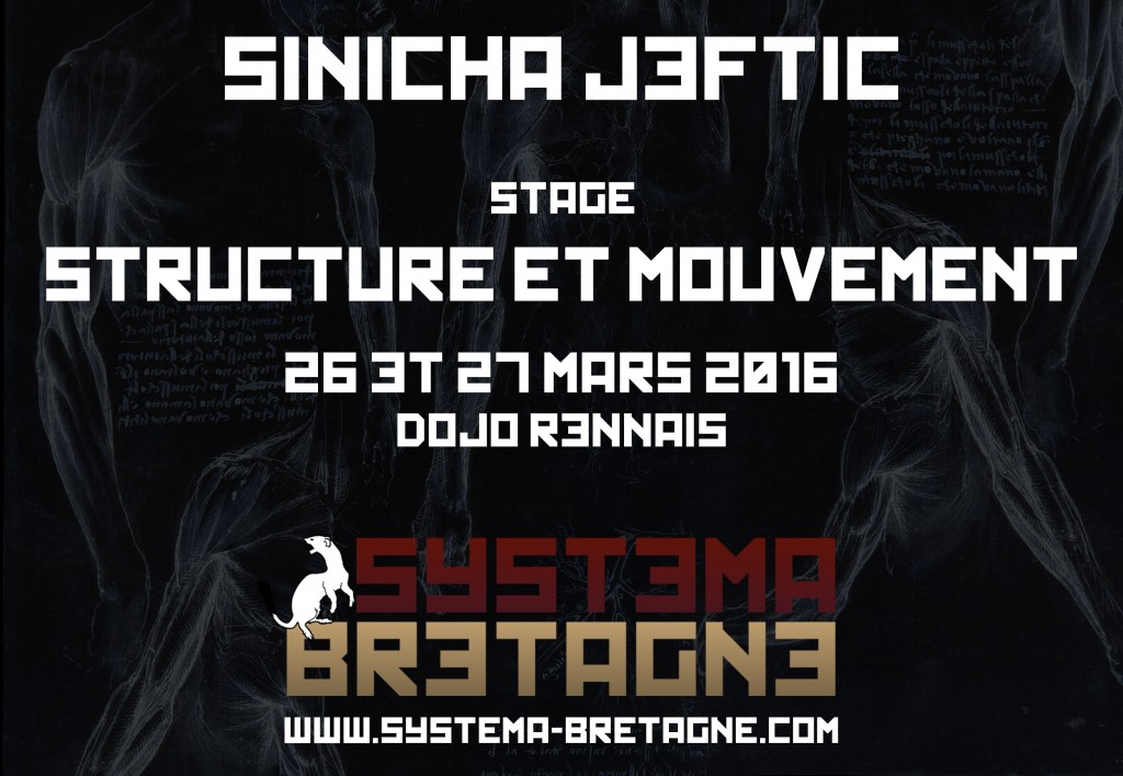 Stage Sinicha Systema Bretagne