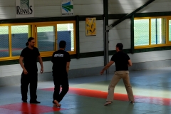 Démo Systema Bretagne (© Floriane Vautier)