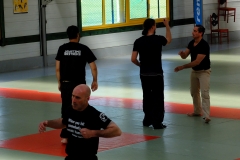 Démo Systema Bretagne (© Floriane Vautier)