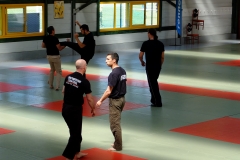 Démo Systema Bretagne (© Floriane Vautier)