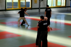 Démo Systema Bretagne (© Floriane Vautier)