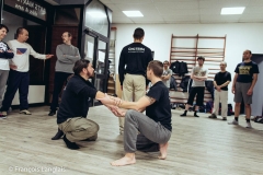 Cours du Mardi Soir (© François Langlais)