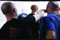 Frappe Systema - Dojo Rennais